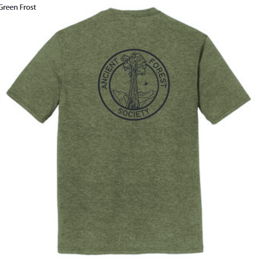 Ancient Forest Society Merchandise — Ancient Forest Society